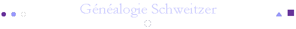 Gnalogie Schweitzer